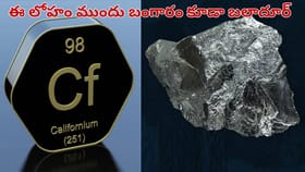 ఒకే ఒక్క గ్రాముతో వందల కేజీల బంగారం కొనొచ్చు.. ప్రపంచంలోనే..