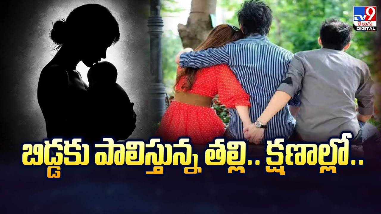 బిడ్డకు పాలిస్తున్న తల్లి.. క్షణాల్లో..