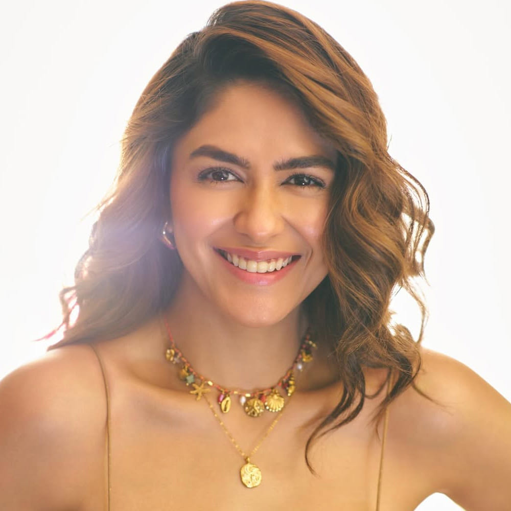 మృణాల్ ఠాకూర్ గురించి ప్రత్యేకంగా చెప్పక్కర్లేదు. సీతారామం సినిమాతో తెలుగు తెరకు పరిచయమైంది. తొలి చిత్రంతోనే నటిగా ప్రశంసలు అందుకున్న ఈ ముద్దుగుమ్మ.. ఆ తర్వాత హాయ్ నాన్న మూవీతో మరో హిట్టు అందుకుంది.