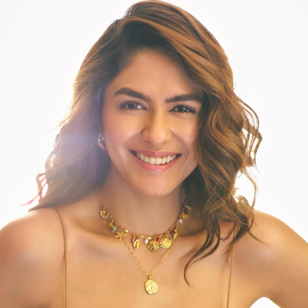 మృణాల్ ఠాకూర్ గురించి ప్రత్యేకంగా చెప్పక్కర్లేదు. సీతారామం సినిమాతో తెలుగు తెరకు పరిచయమైంది. తొలి చిత్రంతోనే నటిగా ప్రశంసలు అందుకున్న ఈ ముద్దుగుమ్మ.. ఆ తర్వాత హాయ్ నాన్న మూవీతో మరో హిట్టు అందుకుంది. 