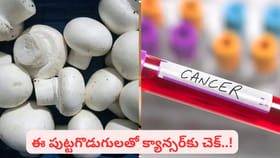 బటన్ పుట్టగొడుగులు.. క్యాన్సర్‌ను నిరోధిస్తాయా.? నిజమేంటి..?