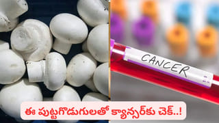 Frequent Sneezing: తరచుగా తుమ్ములు వస్తున్నాయా.? ఇది దేనికి సంకేతమో తెలుసా..?