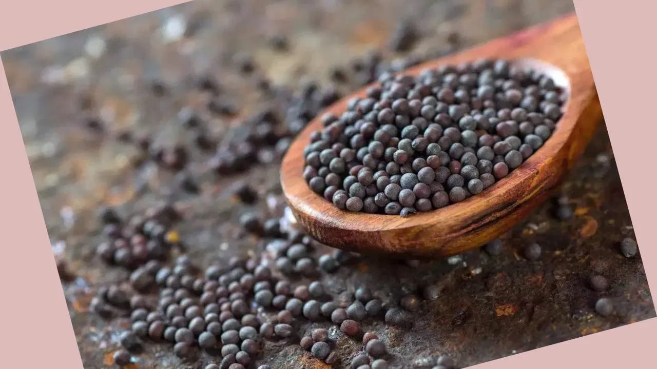 భారతీయ వంటకాలు ఆవాలు లేకుండా పూర్తి కాదనేది అతిశయోక్తి ఏమి కాదు. ఎందుకంటే.. వంటగదిలో ఆవాలు ఒక అనివార్యమైన పదార్థం. దాదాపు ప్రతి వంటకంలోనూ ఇవి ఉపయోగిస్తారు. ఆవాలు కేవలం రుచిని పెంచడం మాత్రమే కాదు, ఎన్నో ఆరోగ్య ప్రయోజనాలను కూడా అందిస్తాయి. కూరలకు ప్రత్యేకమైన వాసన, రుచి జోడించడమే కాకుండా, జీర్ణక్రియను మెరుగుపరచడంలో, శరీరాన్ని నిర్విషీకరణ చేయడంలో కూడా సహాయపడతాయి.
