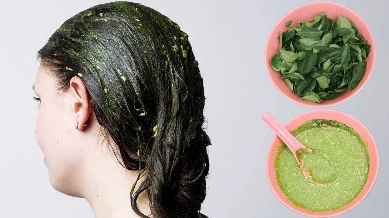 దీని కోసం, ముందుగా కరివేపాకులను శుభ్రంగా కడిగి, దాన్ని మెత్తని పేస్ట్లా రుబ్బుకోవాలి. తర్వాత ఈ పేస్ట్లో కాస్త పెరుగు యాడ్ చేసి ఈ మిశ్రమాన్ని బాగా కలపాలి. రెండు పూర్తిగా కలిసిన తర్వాత ఈ పేస్ట్ను మీ జుట్టుకు అప్లై చేసుకోవాలి. గంట తర్వాత గోరువెచ్చని నీరు, తేలికపాటి షాంపూతో మీ జుట్టును కడగాలి. ఇలా చేయడం ద్వారా మీ జుట్టు త్వరగా నల్లగా మారుతుంది.