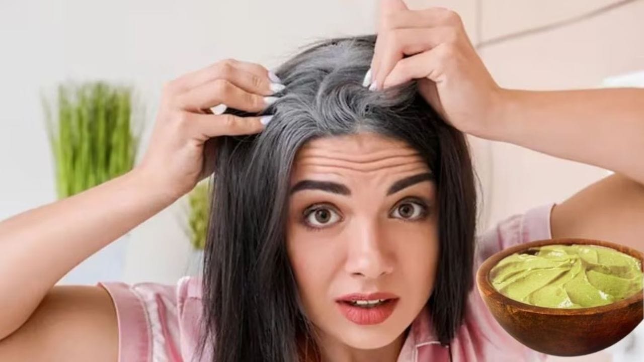 దుమ్ము, కాలుష్యం, ఒత్తిడి, మారుతున్న జీవనశైలి, పోషకాహార లోపాల కారణంగా ఈ మధ్య చాలా మంది చిన్న వయస్సులోనే తెల్ల జుట్టు సమస్యను ఎదుర్కొంటున్నారు. ఈ సమస్యను అదిగమించేందుకు చాలా మంది మార్కెట్లో దొరికే హెయిర్ డైస్ వాడుతూ ఉంటారు. కానీ ఇది ఇన్స్టెంట్గా హెయిర్స్ను నల్లగా మార్చినా భవిష్యత్తులో ఇది ఇతర వెంట్రుకలను కూడా తెల్లగా మార్చవచ్చు.