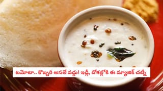Chicken Chinthamani: విలేజ్ స్టైల్‌లో ‘చికెన్ చింతామణి’.. ఇలా వండితే ప్లేట్లు ఖాళీ అవ్వాల్సిందే!