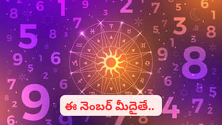 Taurus Love Compatibility: ప్రేమలో తగ్గని వృషభ రాశి.. మీకు మ్యాచ్ అయ్యే రాశులేవో తెలుసా..?