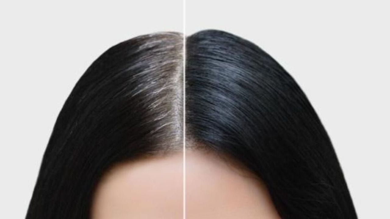 Natural Hair Dye: ఖరీదైన హెయిర్ డైలు వద్దు.. ఇంట్లోనే ఇలా సింపుల్గా తెల్ల జుట్టుకు చెక్ పెట్టండి! Natural Hair Dye: ఖరీదైన హెయిర్ డైలు వద్దు.. ఇంట్లోనే ఇలా సింపుల్గా తెల్ల జుట్టుకు చెక్ పెట్టండి!