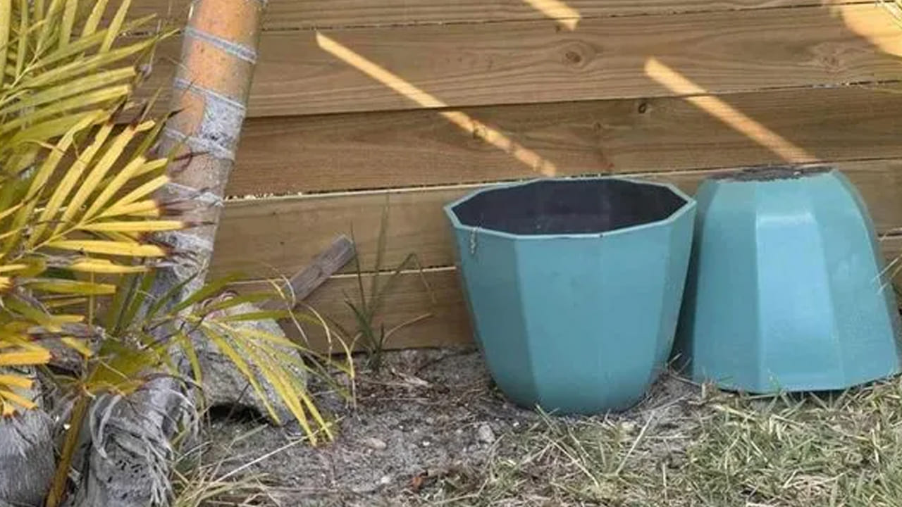 ఆప్టికల్ ఇల్యూషన్స్, బ్రెయిన్ టీజర్స్, పజిల్స్ పరిష్కరించడం ఎవరికి ఇష్టం ఉండదు చెప్పండి. చాలా మంది వీటిని చాలా ఇష్టంగా పరిష్కరిస్తారు. అంతే కాకుండా వీటిని సాల్వ్ చేయడం వలన ఇవి మానసిక ప్రశాంతతను మెరుగు పరుస్తాయి. అంతే కాకుండా ఇవి బ్రెయిన్ సామర్థ్యాన్ని కూడా మెరుగు పరుస్తాయి. అంతే కాకుండా మన జీవితంలో ఎదుర్కునే సమస్యలను పరిష్కరించుకోడానికి కూడా ఇవి సహాయపడతాయి.