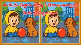 Viral Video: పెళ్లి మండపంలోకి సింపుల్ ఎంట్రీ ఇచ్చిన వధువు.. స్టేజీపైనే ఏడ్చేసిన వరుడు..!
