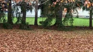 Indian Railways: మబ్బుల మధ్య రైల్వే స్టేషన్…ఇది భారతదేశంలోనే అత్యంత ఎత్తైనది..! పర్యాటకులకు అద్భుతమైన అనుభవం..