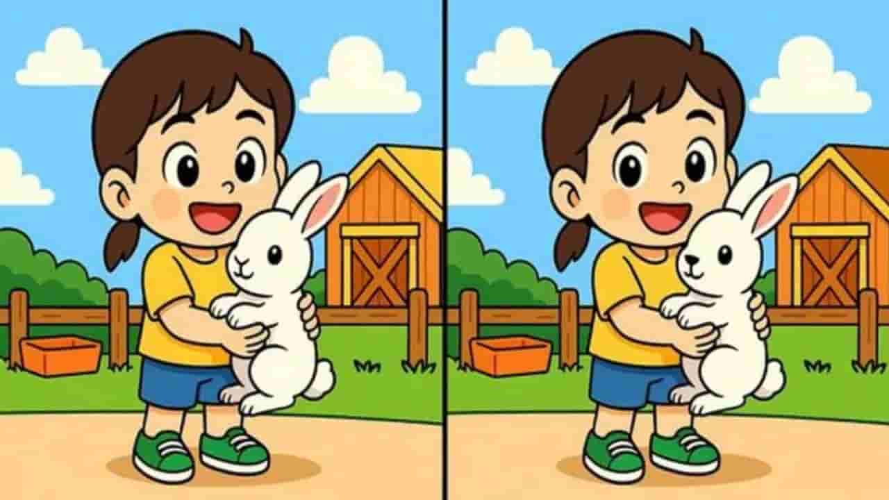 Optical illusion: మీ కళ్లకు సూపర్ టెస్ట్.. ఈ ఫోటోల మధ్య ఉన్న 3 తేడాలను 50 సెకన్లలో గుర్తిస్తే మీరే తోపులు!