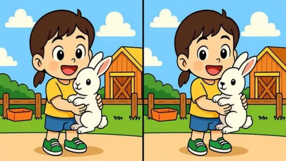 Optical illusion: మీ కళ్లకు సూపర్ టెస్ట్.. ఈ ఫోటోల మధ్య ఉన్న 3 తేడాలను 50 సెకన్లలో గుర్తిస్తే మీరే తోపులు!