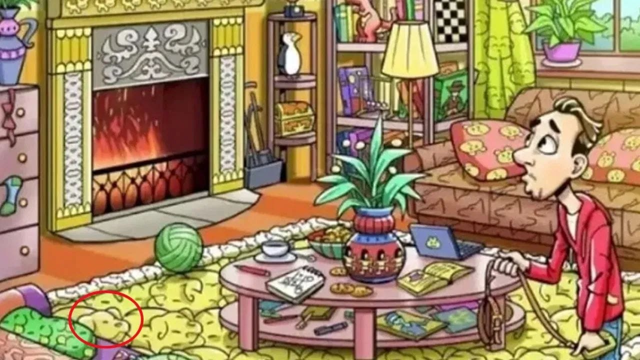 Optical Illusion Test