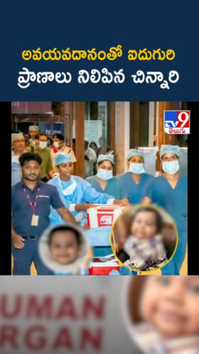 Alin: 10 మాసాల చిన్నారి అవయవదానం.. ఐదుగురి ప్రాణాలు నిలిపిన చిరంజీవి