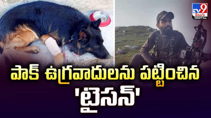 పాక్ ఉగ్రవాదులను పట్టించిన 'టైసన్' పాక్ ఉగ్రవాదులను పట్టించిన 'టైసన్'