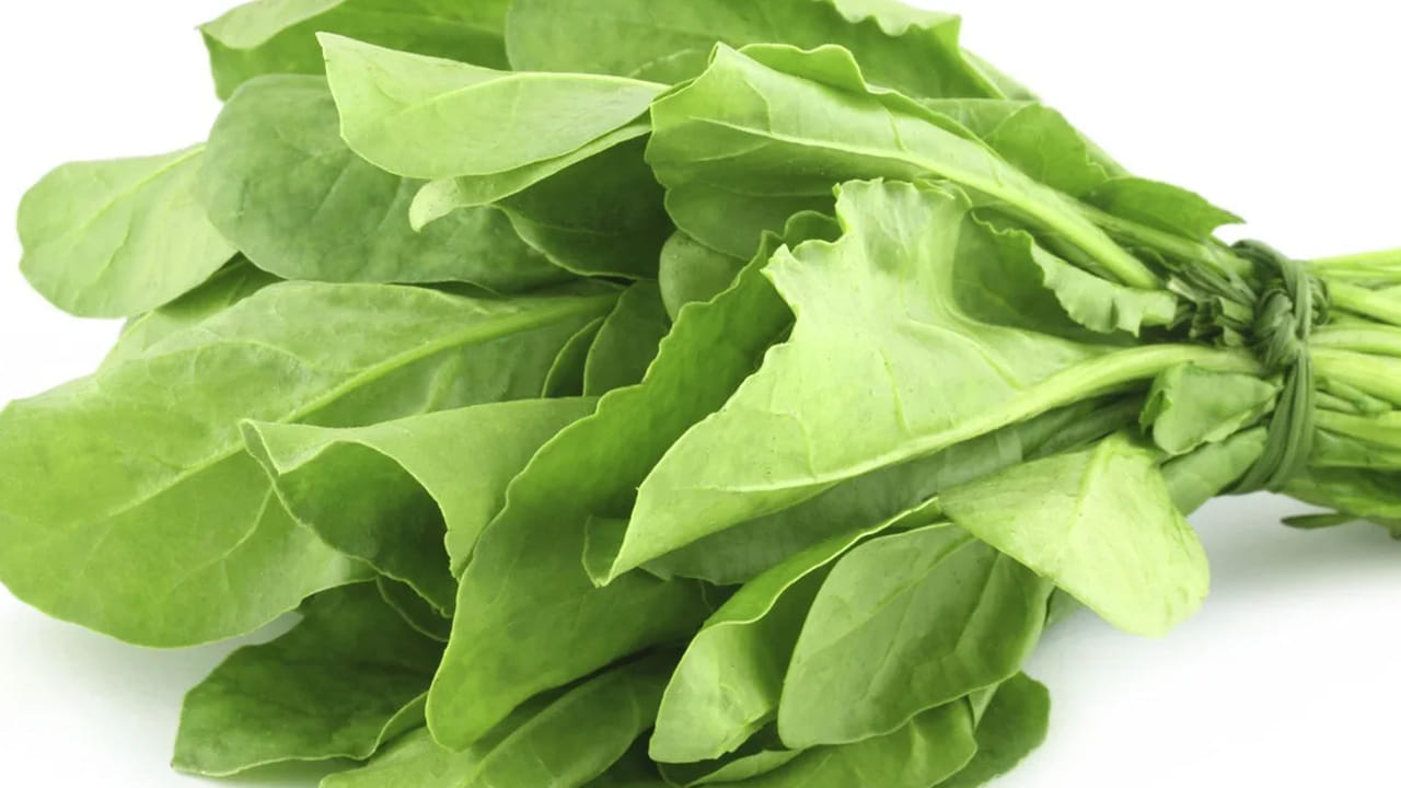 
కంటి చూపు: పాలకూరలో ఉండే లూటిన్ అనే సమ్మేళనాలు కళ్ళను కాపాడుతాయి.ఇంకా చెప్పాలంటే కంటి చూపును కూడా మెరుగుపరుస్తుంది.  