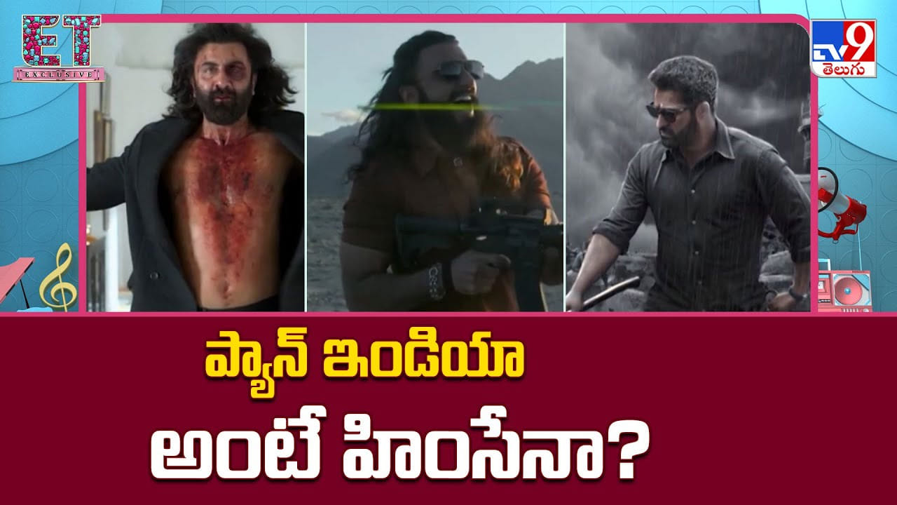 ప్యాన్‌ ఇండియా అంటే హింసేనా !! విజయానికి అదే మార్గమా