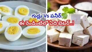 చింతపండు తింటున్నారా..? చిరాకు తెప్పించే ఆరోగ్య సమస్యలన్నింటికీ చెక్ పెట్టినట్లే..!