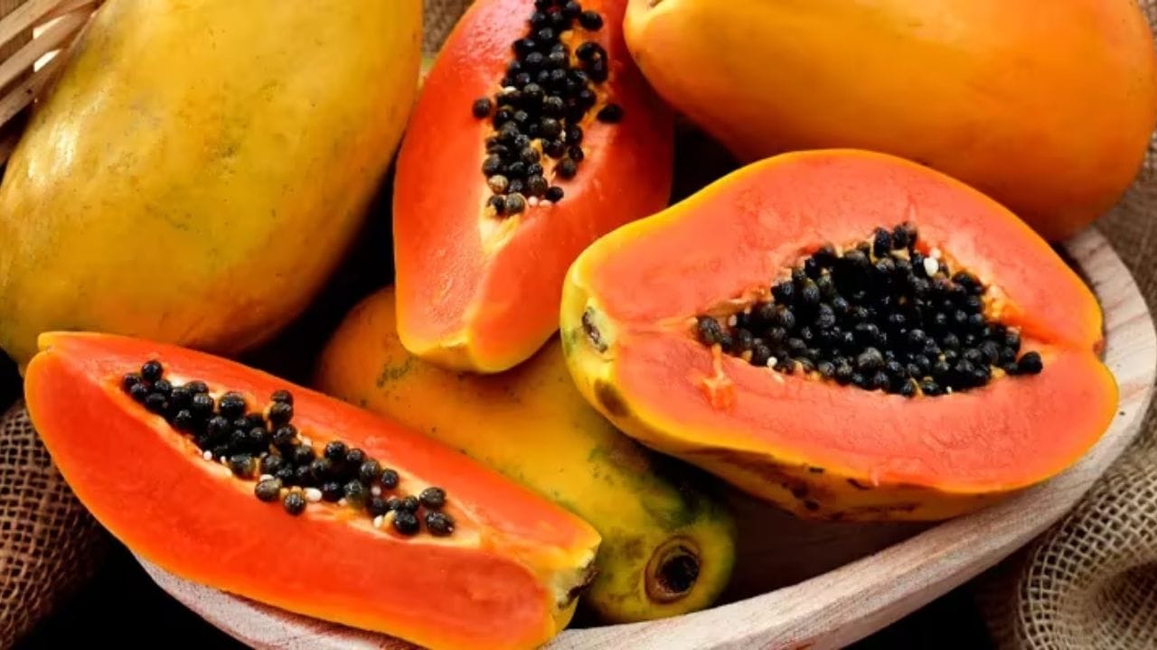 ఈ బొప్పాయి పండును ప్రతిరోజూ తినడం వల్ల ఊబకాయం నియంత్రణలో ఉంటుంది. మధుమేహం, గుండె జబ్బులు, క్యాన్సర్ ఉన్నవారికి బొప్పాయి అమృతం లాంటిదని ఆరోగ్య నిపుణులు చెబుతున్నారు. అయితే, కొన్ని వ్యాధులతో బాధపడుతున్న రోగులకు బొప్పాయి విషంతో సమానమని చెబుతారు. కాబట్టి ఎవరు ఈ పండు తినకూడతో చూద్దాం.