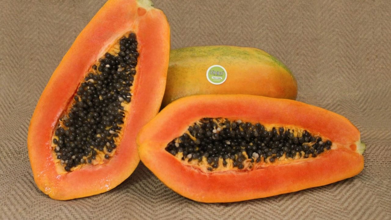 Papaya