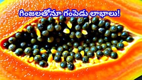 బొప్పాయి పండు, ఆకులు సరే.. గింజలు తిన్నారంటే గంపెడు లాభాలు...