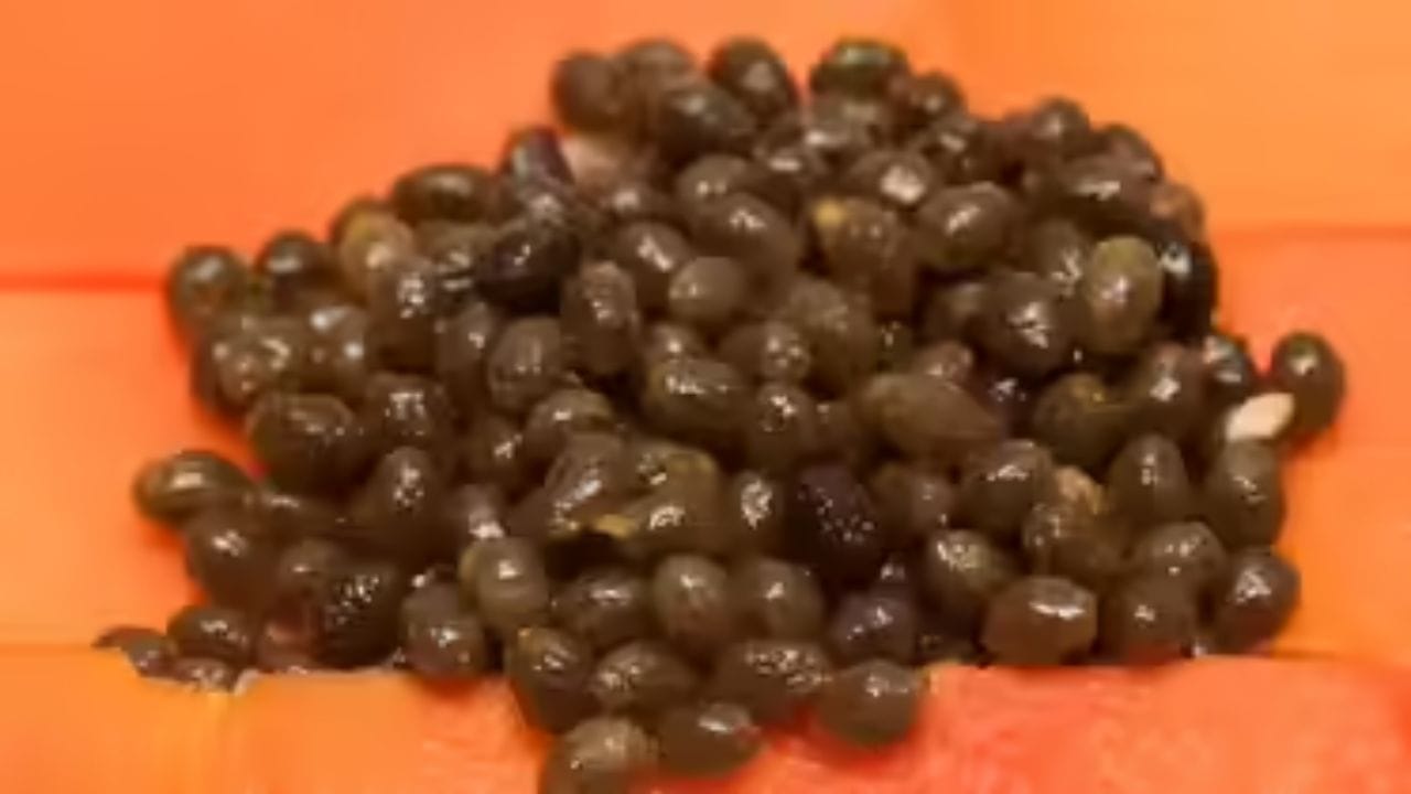  బొప్పాయి గింజలు వాపును తగ్గించడంలో చాలా ప్రభావవంతంగా ఉంటాయి. ఈ విత్తనాలలో ఆల్కలాయిడ్స్, ఫ్లేవనాయిడ్లు, విటమిన్ సి పుష్కలంగా ఉంటాయి. ఇది శరీరంలో మంటను తగ్గించడంలో సహాయపడుతుంది. బొప్పాయి గింజలు క్యాన్సర్ నిరోధక లక్షణాలను కలిగి ఉంటాయి. ఈ విత్తనాలలో కనిపించే ఐసోథియోసైనేట్స్ వంటి సమ్మేళనాలు క్యాన్సర్ కణాల పెరుగుదలను నిరోధిస్తాయి.