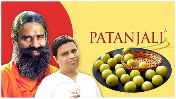 Patanjali: ఉసిరి గింజలతో చరిత్ర సృష్టించిన పతంజలి.. ఆయుర్వేద శక్తికి ప్రపంచ గుర్తింపు..!