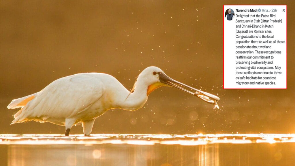 Patna Bird Sanctuary