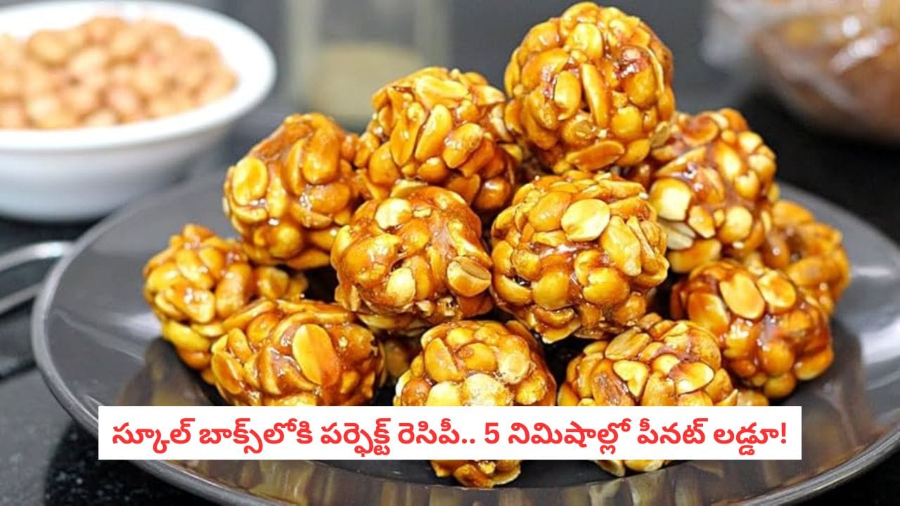 Peanut Laddu Recipe: వేరుశనగల్లో ఇన్ని పోషకాలా? కేవలం 3 వస్తువులతో పిల్లల కోసం సూపర్ హెల్తీ స్నాక్! Peanut Laddu Recipe: వేరుశనగల్లో ఇన్ని పోషకాలా? కేవలం 3 వస్తువులతో పిల్లల కోసం సూపర్ హెల్తీ స్నాక్!