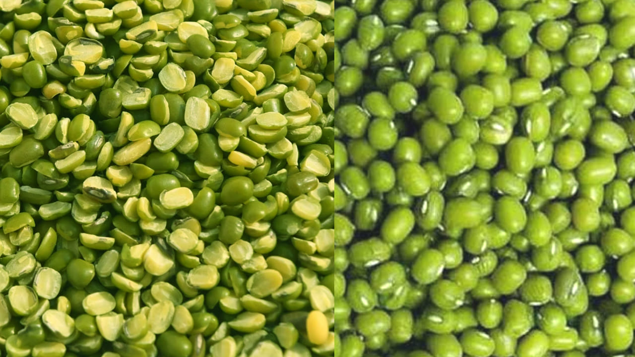 మనం తినే అన్ని పప్పుల్లో పెసర పప్పు చాలా మంచిది. దీనిలో మన శరీరానికి కావాల్సిన పోషకాలు ఉన్నాయి. అలాగే, వీటిని తిన్న వెంటనే అవి జీర్ణ మవుతాయి. కాబట్టి, ఇదే మంచిదని నిపుణులు కూడా చెబుతున్నారు. 
