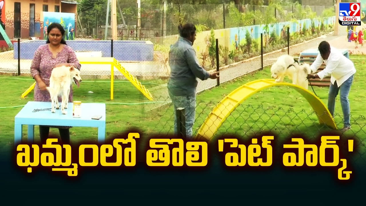 ఖమ్మంలో పెంపుడు జంతువుల కోసం ప్రత్యేక ప్లే జోన్లు, స్విమ్మింగ్ పూల్