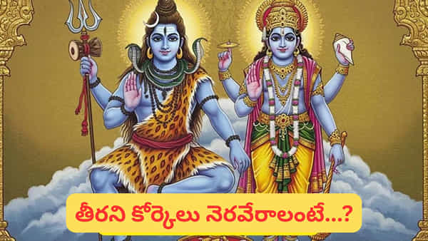 పవిత్ర ఫాల్గుణ మాసం.. ఎలాంటి పూజలు చేస్తే అదృష్టం, ఐశ్వర్యం లభిస్తాయో తెలుసుకోండి