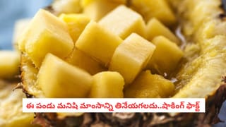 13వ తేదీ శుక్రవారం అంటే ప్రపంచం ఎందుకు భయంతో వణుకుతుంది..? దీని వెనుకున్న అసలు మిస్టరీ ఏంటంటే..?