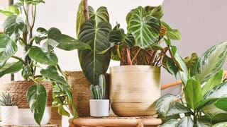 Be Alert: మీ ఫోన్‌లో ఈ 3 రకాల యాప్‌లు ఉన్నాయా? అయితే మీ వ్యక్తిగత డేటా డేంజర్‌లో ఉన్నట్టే!