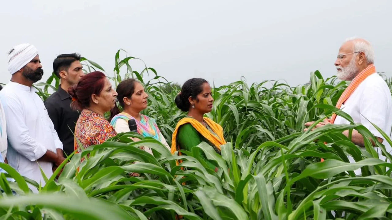 అయితే పీఎం కిసాన్ పొందాలంటే ఫార్మర్ రిజిస్ట్రీలో తప్పనిసరిగా నమోదు చేయించుకోవాలనే నిబంధనలపై అయోమయం నెలకొంది. ఫార్మర్ రిజిస్ట్రీ ఐడీ రూల్ నిబంధనలపై గందరగోళం ఏర్పడింది. ఫార్మార్ రిజిస్ట్రీ ఐడీ పొందకపోతే పీఎం కిసాన్ ఆగిపోతుందా అనే అనుమానం నెలకొంది. అయితే 14 రాష్ట్రాల్లో మాత్రమే కొత్త రిజిస్ట్రేషన్లకు ఫార్మర్ రిజిస్ట్రీ అవసరం. 
