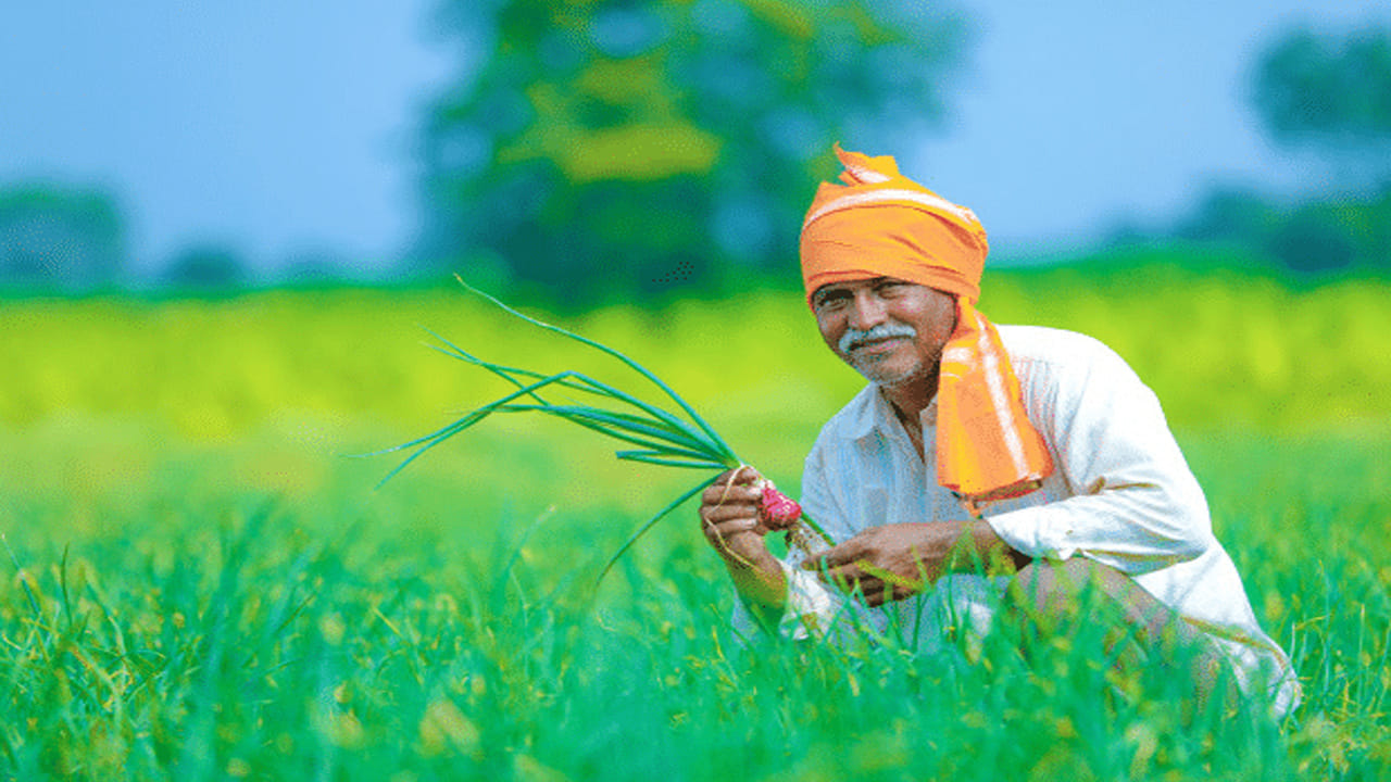 అటు ఈకేవైసీ అనేది ప్రతీఒక్కరికి అవసరం. లబ్దిదారులను నిర్ధారించేందుకు ఈ ప్రక్రియ కేంద్రం తప్పనిసరి చేసింది. కామన్ సర్వీసెస్ సెంటర్‌కి వెళ్లి ఈకేవైసీ ప్రక్రియ పూర్తి చేయాల్సి ఉంటుంది. ఇక పీఎం కిసాన్ పోర్టల్ లేదా యాప్ ద్వారా కూడా రైతులు స్వయంగా చేసుకోవచ్చు.
