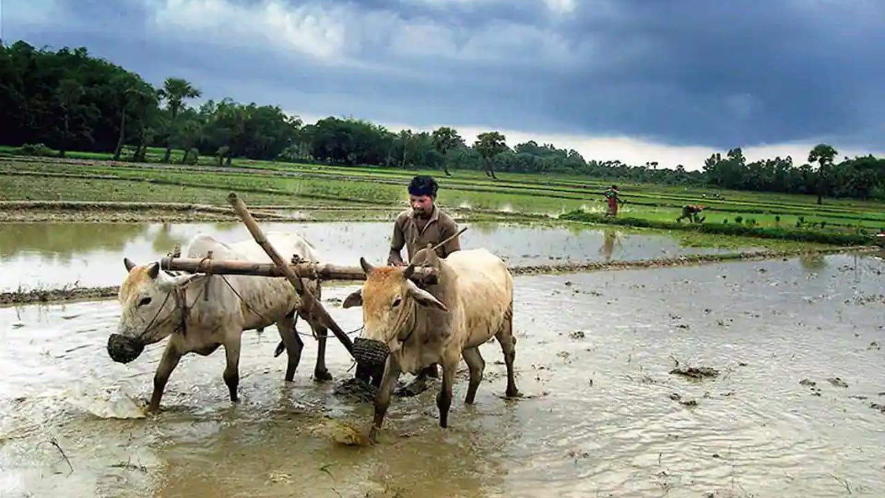 PM Kisan Scheme: రైతులకు అలర్ట్.. పీఎం కిసాన్ 22వ విడత వచ్చేది అప్పుడేనా..?