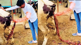 పాడి రైతులు ఈ విషయం తెలుసుకోండి..