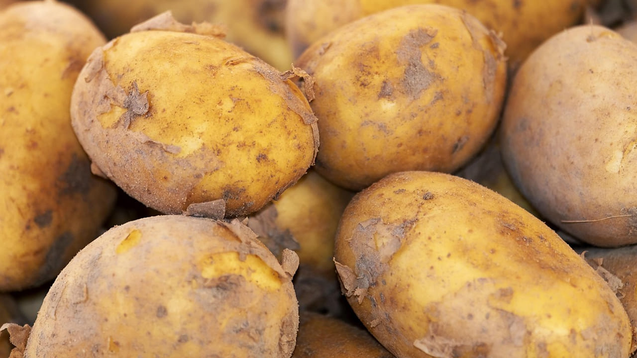 బంగాళాదుంపలో పిండి పదార్ధం ఎక్కువగా ఉంటుంది. అలాగే, దీనిలో ప్రోటీన్స్ కూడా అధికంగా ఉంటాయి. కాబట్టి,  చికెన్, మటన్, చేపలు తిన్నప్పుడు దీనిని తీసుకోకపోవడమే మంచిది. 
