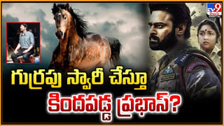 Manasantha Nuvve : ఉదయ్ కిరణ్‏తో బ్లాక్ బస్టర్.. 14 ఏళ్లుగా సినిమాలకు దూరంగా.. ఎందుకు ఇండస్ట్రీని వదిలి వెళ్లిపోయింది.. ?