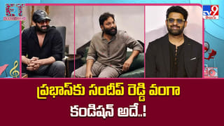 Sreeleela: పాపం.. శ్రీలీలకు ఎంత కష్టం వచ్చిందో..?