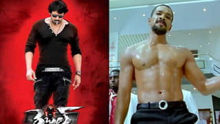 పెంపుడు పిల్లుల నుంచి పాఠాలు నేర్చుకున్నా..! ఆ అబ్బాయి గురించి చాలా ఏడ్చానంటున్న స్టార్ హీరోయిన్