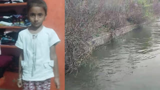 అదిగో పులి…ఇదిగో టెన్షన్‌.. జనావాసాల్లోకి వన్యమృగాలు.. గుంపులు గుంపులుగా దాడి..!