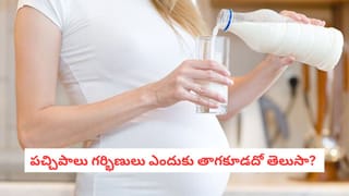 Fish Nutrition: గుండె పదిలంగా ఉండాలంటే వీటిని తినాల్సిందే.. సముద్రపు చేపల్లో ఉండే ఆ సీక్రెట్ ఇదే..
