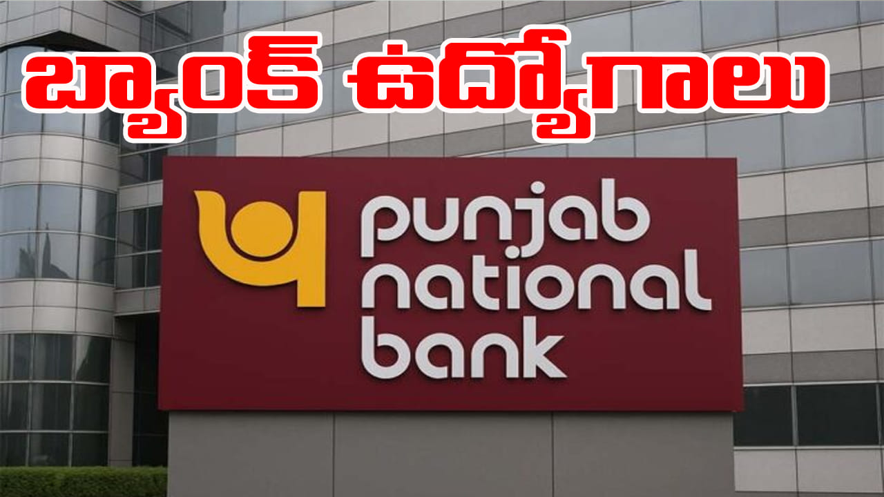PNB Bank Jobs 2026: పంజాబ్‌ నేషనల్‌ బ్యాంక్‌లో 5,138 ఉద్యోగాలు.. తెలుగు రాష్ట్రాల్లో ఎన్ని పోస్టులున్నాయంటే?