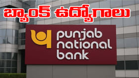 పంజాబ్‌ నేషనల్‌ బ్యాంక్‌లో 5,138 ఉద్యోగాలు.. డిగ్రీ అర్హత