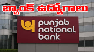 Andhra: ఇదిగో పెద్దపులి.. పూరిపాకలో నక్కి గాండ్రింపులు.. వీడియో చూశారా..?