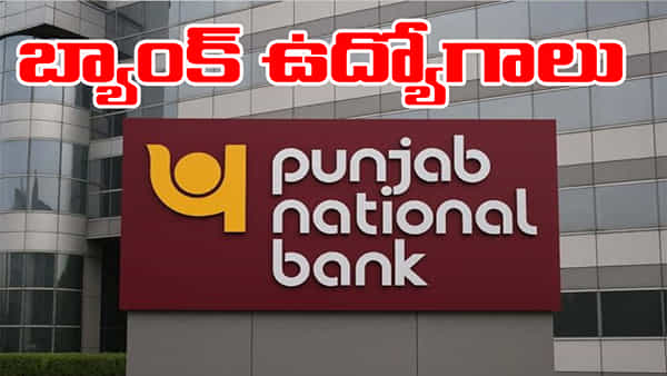 PNB Bank Jobs 2026: పంజాబ్ నేషనల్ బ్యాంక్లో 5,138 ఉద్యోగాలు.. తెలుగు రాష్ట్రాల్లో ఎన్ని పోస్టులున్నాయంటే?