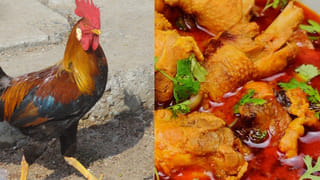 కాజల్ వల్ల పిల్లల ఆరోగ్యానికి ప్రమాదమా? తల్లిదండ్రులు తప్పక తెలుసుకోవాల్సిన విషయం